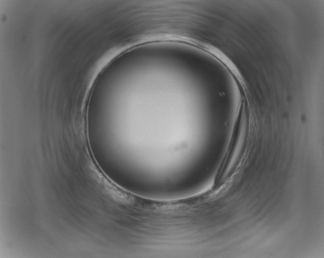 X0000078891004200611131225