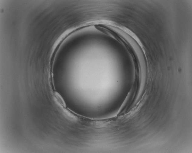 X0000078891005200611131225