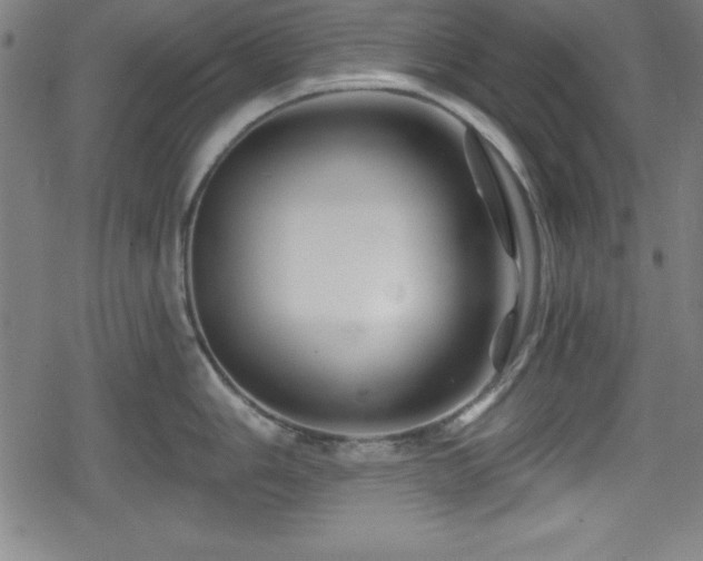 X0000078891006200611131225