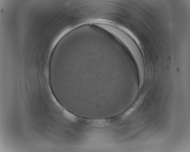 X0000078891007200611131225