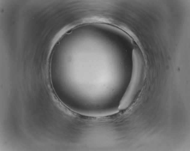 X0000078891008200611131225