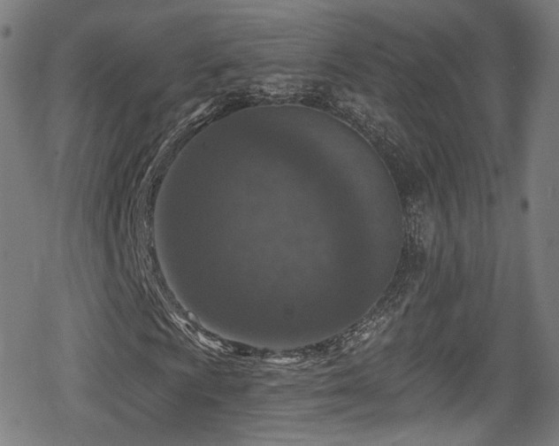 X0000078891009200611131224