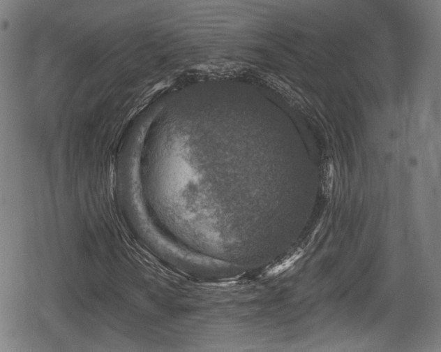 X0000078891010200611131224