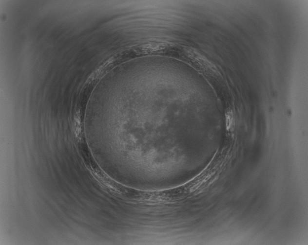 X0000078891011200611131224