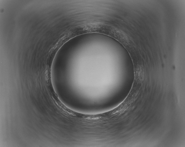 X0000078891012200611131224