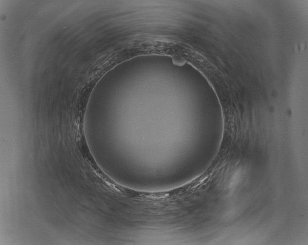 X0000078891013200611131224