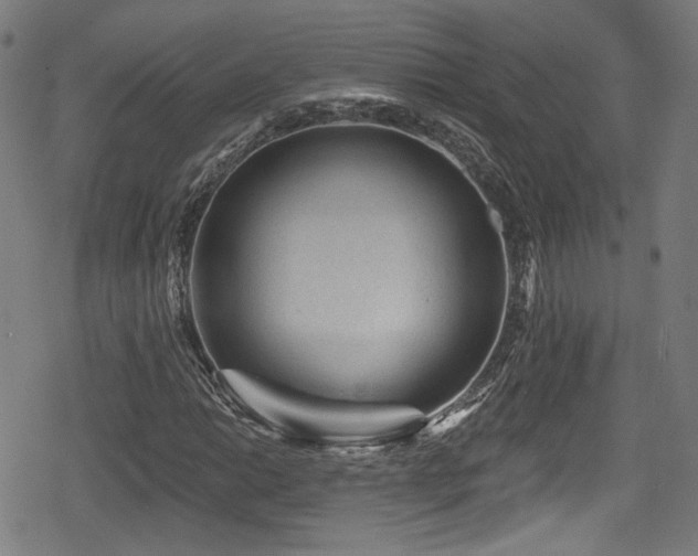 X0000078891014200611131224