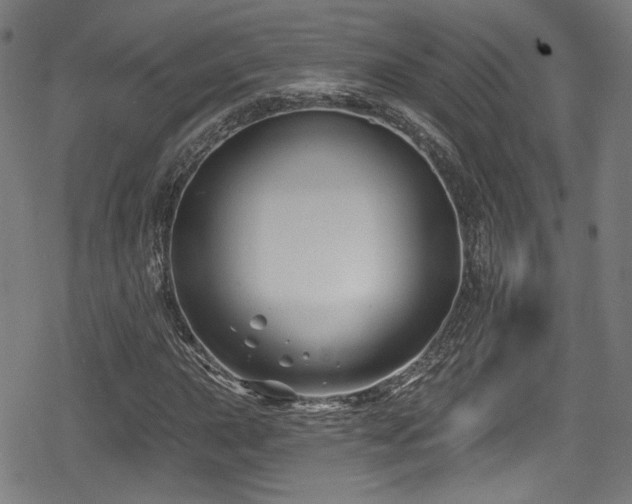 X0000078891015200611131224