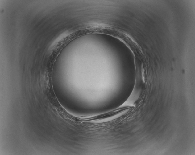 X0000078891016200611131224