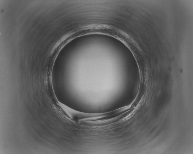 X0000078891017200611131224