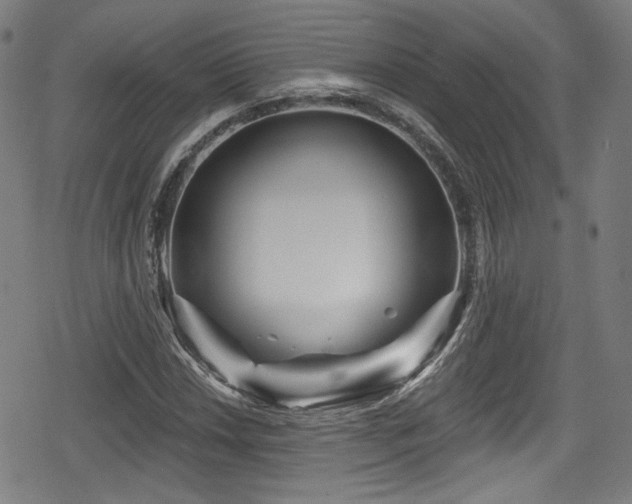 X0000078891018200611131224