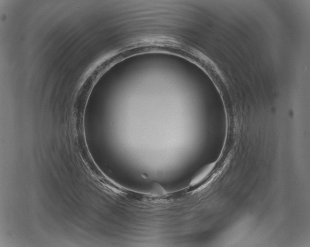 X0000078891019200611131224