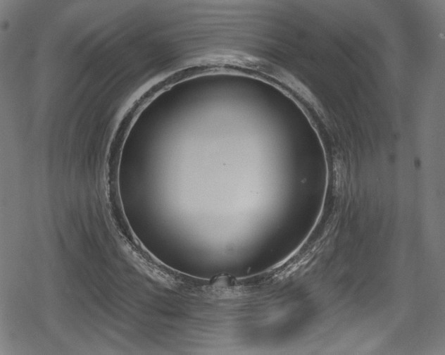 X0000078891020200611131224