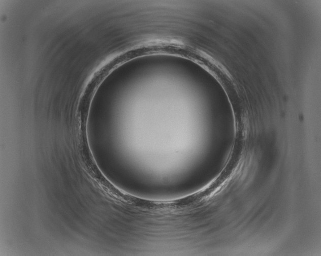 X0000078891021200611131224