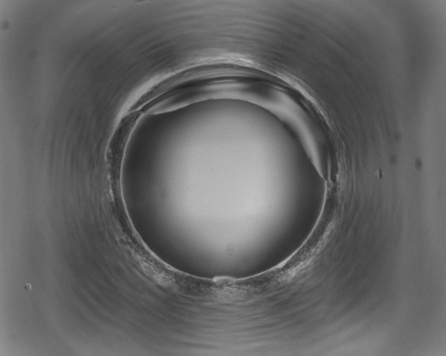 X0000078891022200611131224