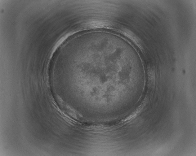 X0000078891023200611131224