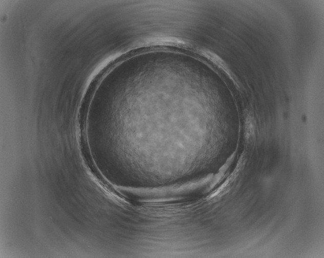 X0000078891024200611131224