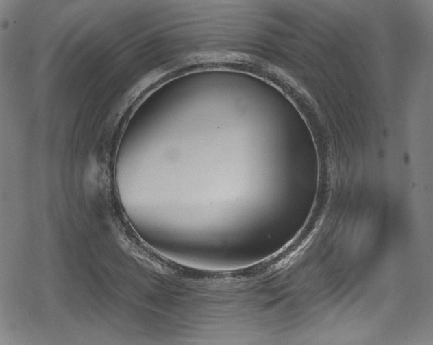 X0000078891025200611131224