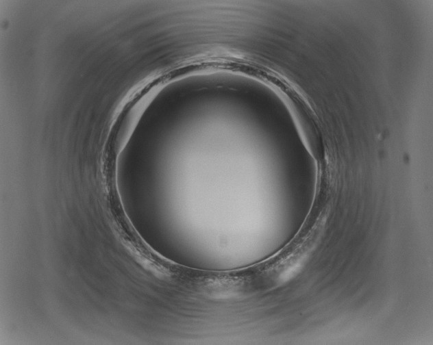 X0000078891026200611131224