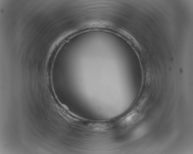 X0000078891027200611131225