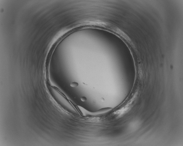 X0000078891028200611131225