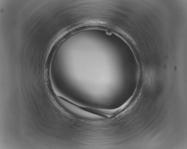 X0000078891029200611131225