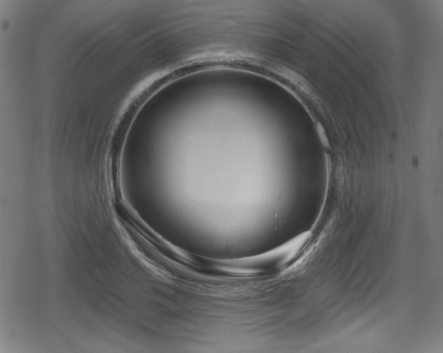 X0000078891030200611131225