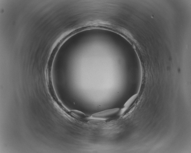 X0000078891032200611131225