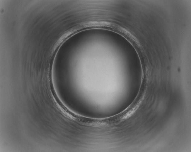 X0000078891033200611131225