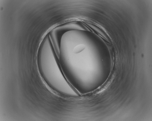 X0000078891034200611131225