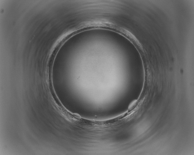 X0000078891035200611131225