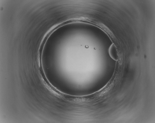 X0000078891036200611131225