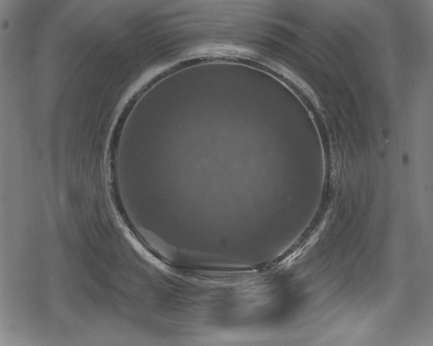 X0000078891037200611131225