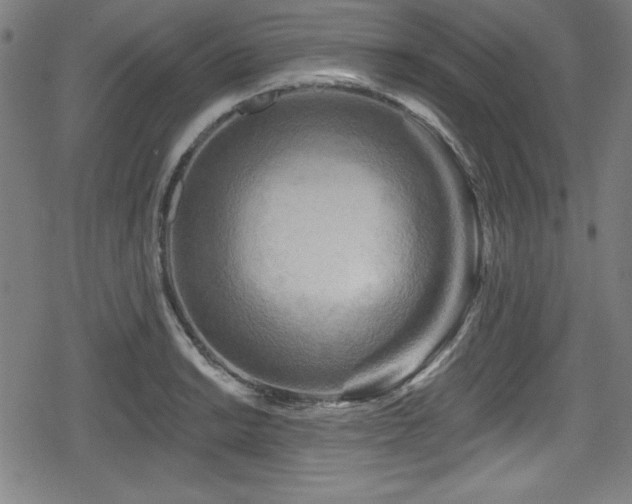 X0000078891038200611131225