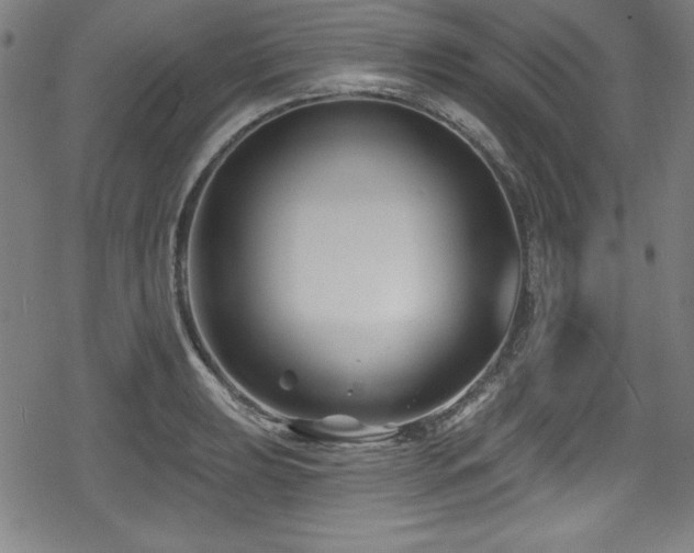 X0000078891039200611131225