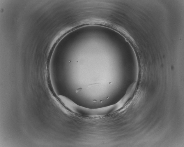 X0000078891040200611131225