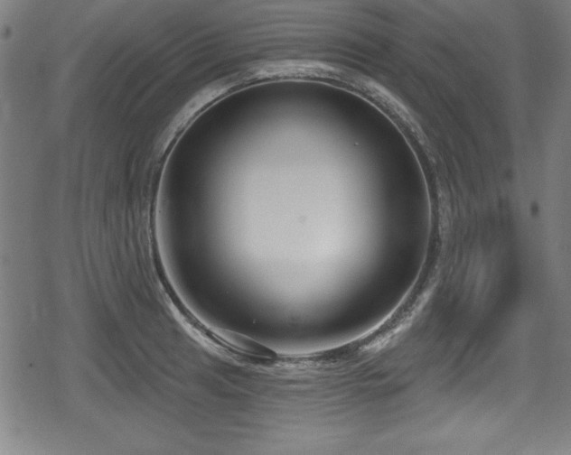 X0000078891041200611131225