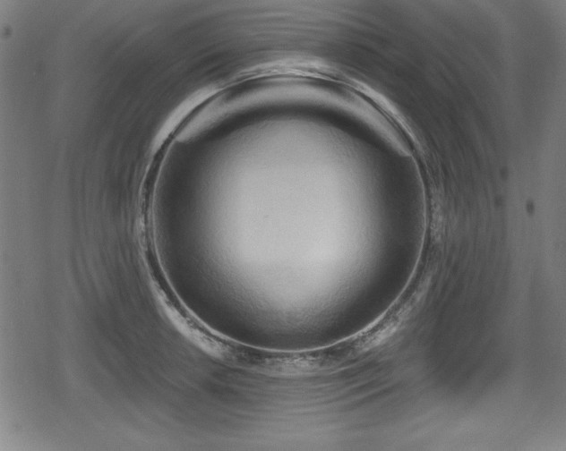 X0000078891042200611131225