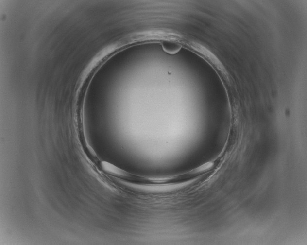 X0000078891043200611131225