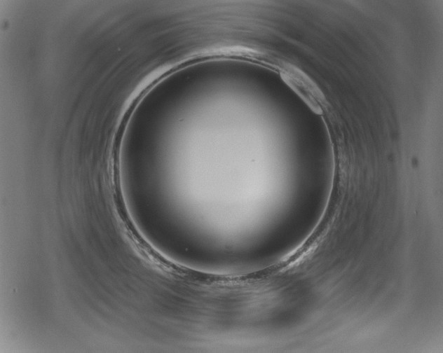 X0000078891044200611131225