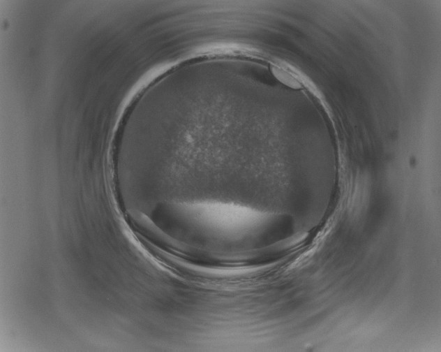 X0000078891045200611131225