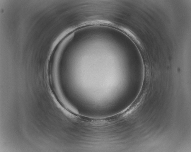 X0000078891046200611131225