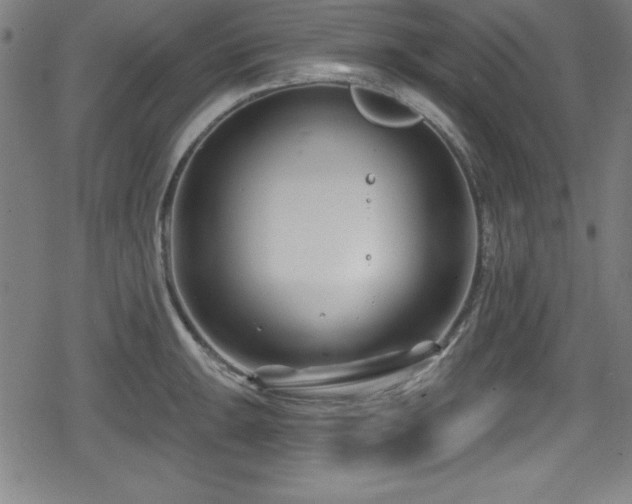 X0000078891047200611131225