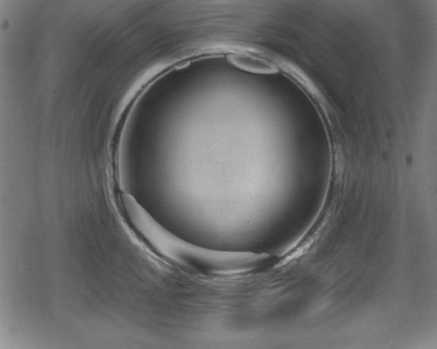 X0000078891048200611131225