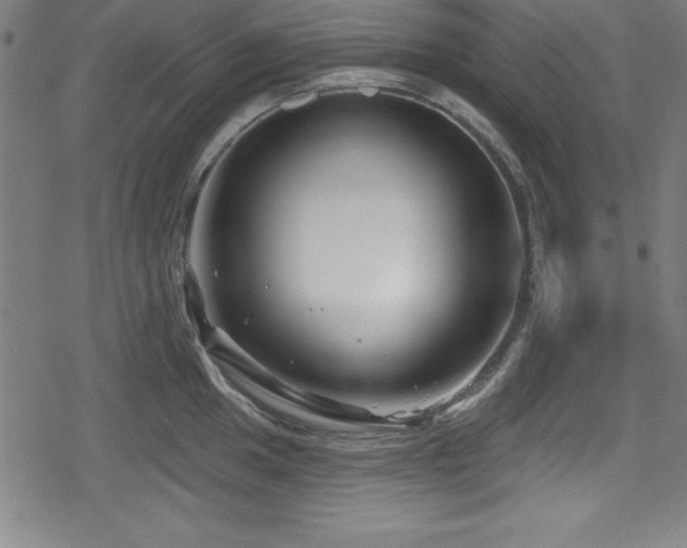 X0000078891049200611131225