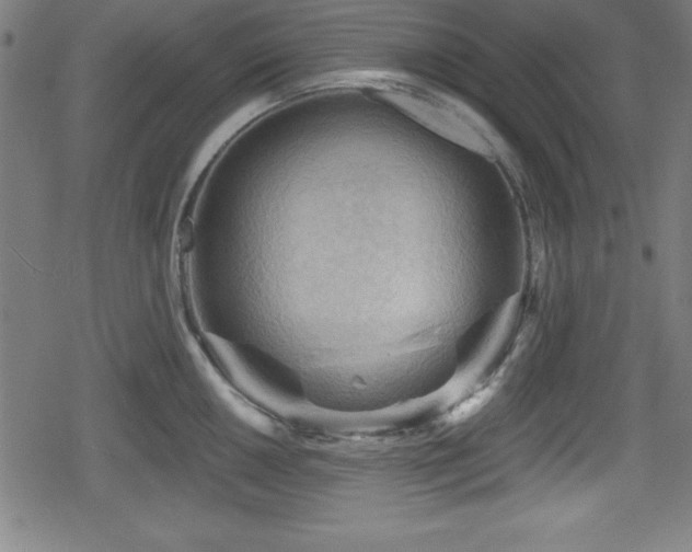 X0000078891050200611131225