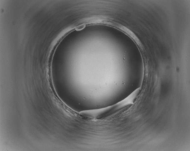 X0000078891051200611131225