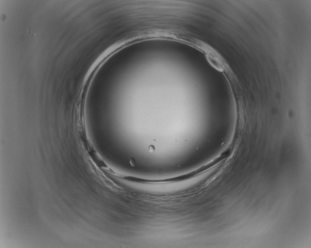 X0000078891052200611131225