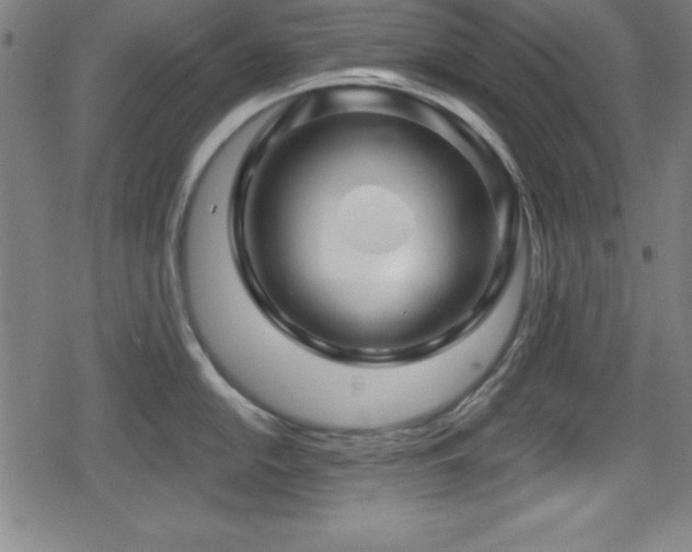 X0000078891054200611131225