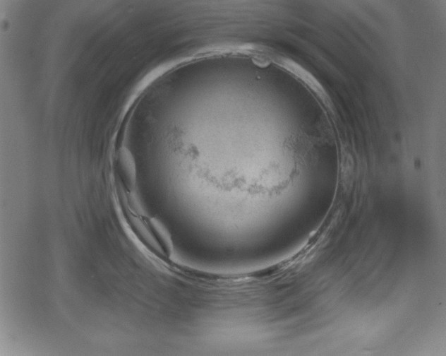 X0000078891055200611131225